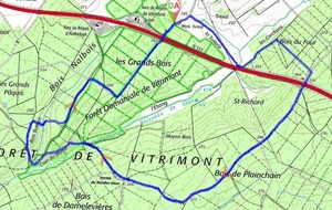Vitrimont EG