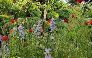 Visite du jardin &quot;Clos de la chapelle&quot;