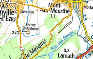 Mont sur Meurthe 9km MRA JA